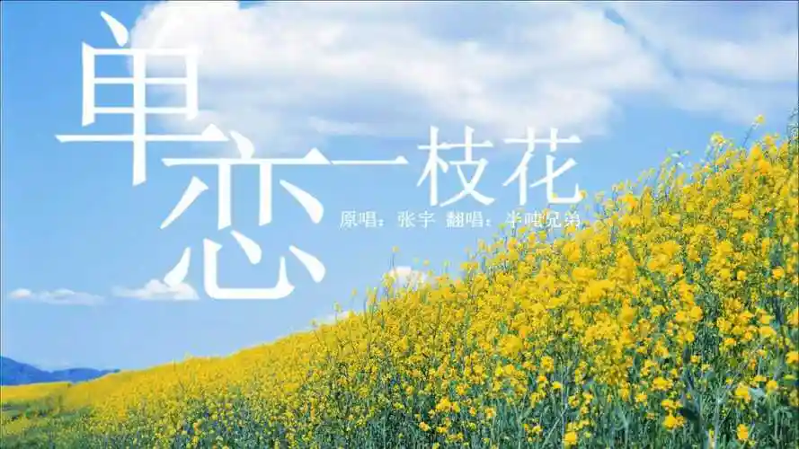 不一样的音乐,不一样的《单恋一枝花》