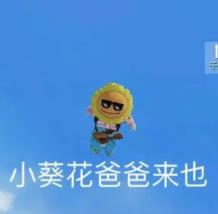 和平精英吃鸡表情包