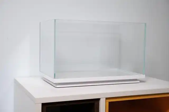 画法几何桌面鱼缸探索版小白也能养出一缸漂亮的鱼儿