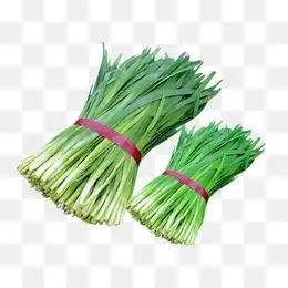 韭菜图片大全