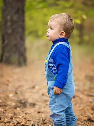 森林小男孩儿童户外探险侧身站立手持登山杖自然写实商业照片