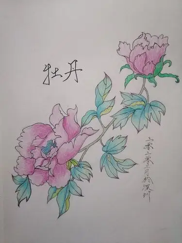 不忘初心,方得始终!我的工笔画