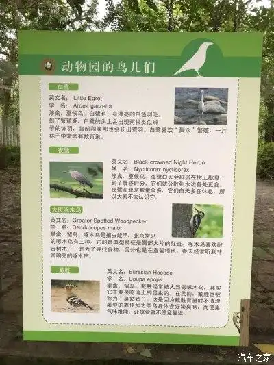 北京动物园里的观鸟介绍_北京_手机汽车之家
