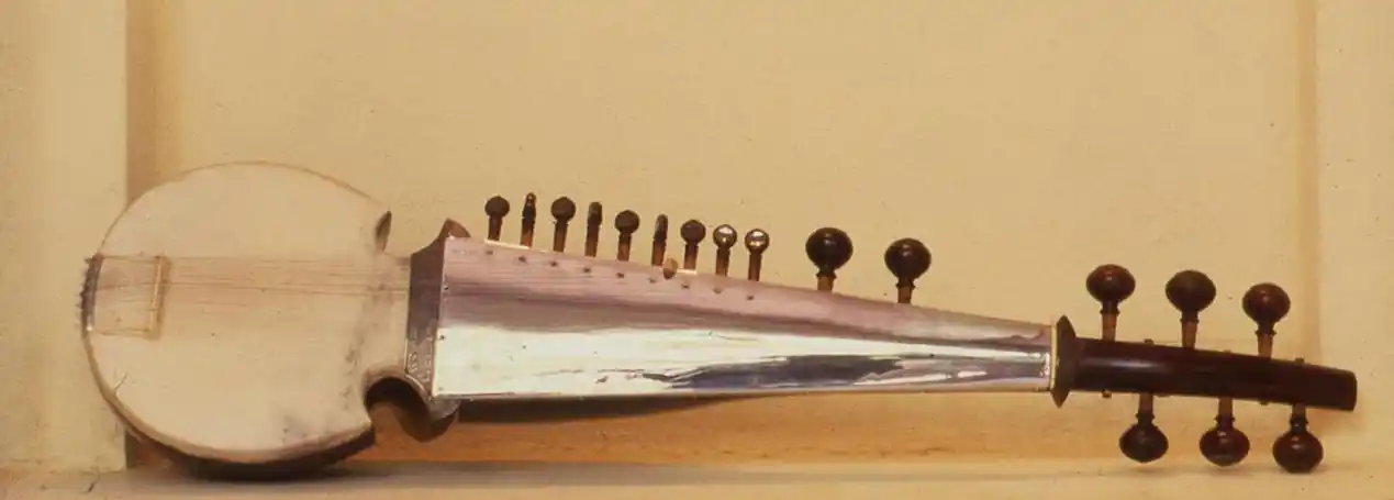 印度萨罗德琴(sarod)是印度古典传统音乐中常用的琉特琴类弦乐器家族