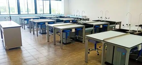 案例|深圳市坪山区中新中学