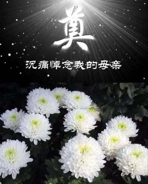 天堂里的母亲,您好吗?