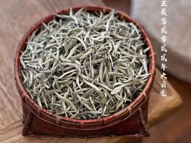 99(最后3斤)992022年头春大白毫,清新淡雅,春之味,越留越醇厚的