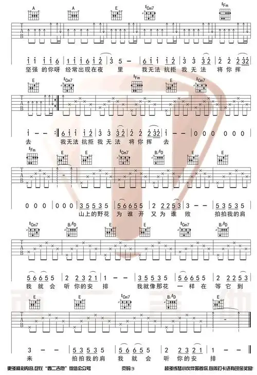 野花吉他谱好声音康树龙旦增尼玛e调原版图片谱