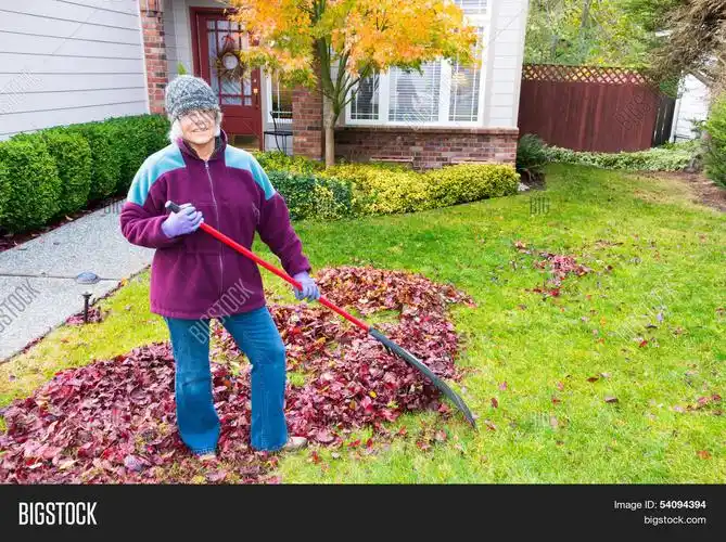 healthy active mature woman raking autumn leaves in her front
