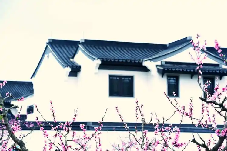 桃花园里的白墙灰瓦