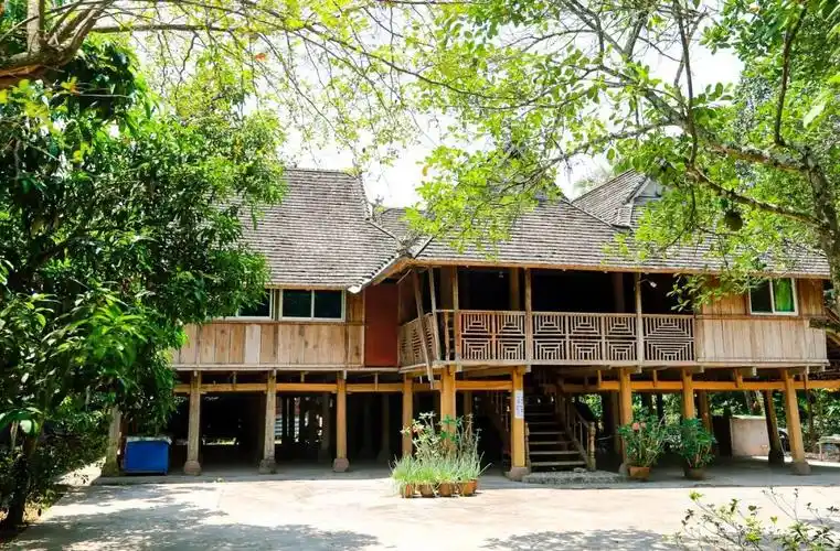 野象谷,热带雨林,万亩茶园,吊脚楼……用n多种方式走进《爸爸去哪儿》