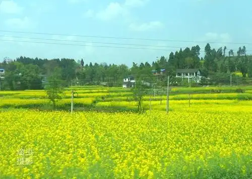 都在比哪里的春天最漂亮,四川小山村,故乡的春天怎么样