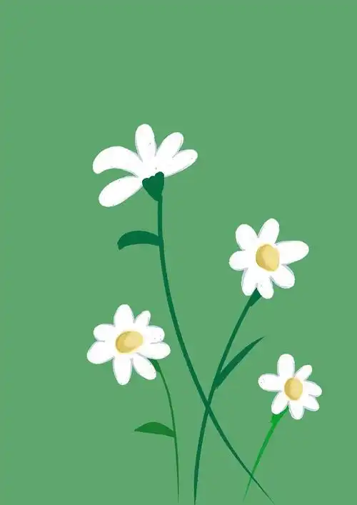 小雏菊|插画|创作习作|wencarla - 临摹作品 - 站酷 (zcool)