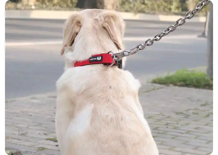 铁链子 栓狗用狗链型狗狗牵引绳铁链子不锈钢链子304不锈钢狗狗牵引绳