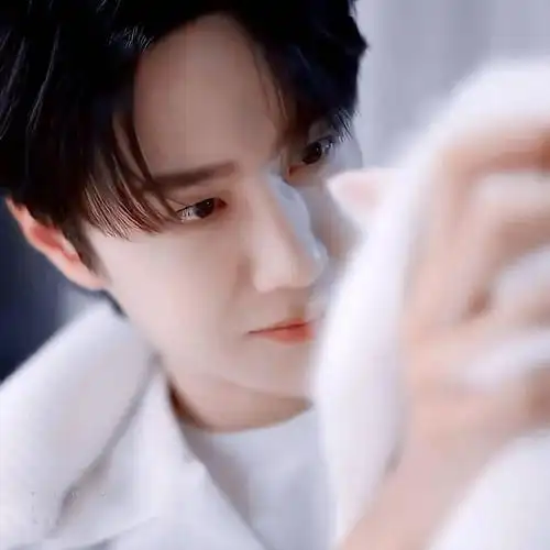 【微信头像】王一博