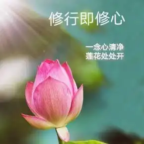 修行即修心弘一法师帮你开悟