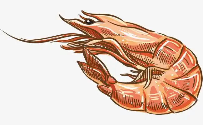 手绘卡通闽南特色美食小吃炸五香