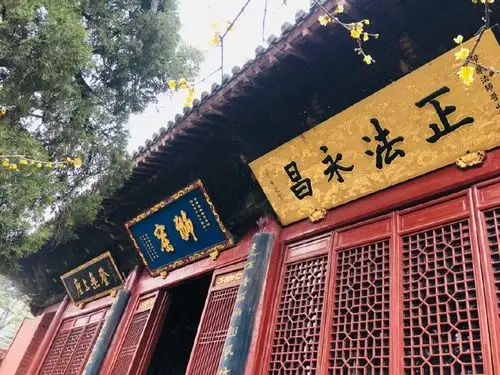 洛阳亲子游:汉明帝夜梦金人 中国第一古刹洛阳白马寺访狄仁杰墓