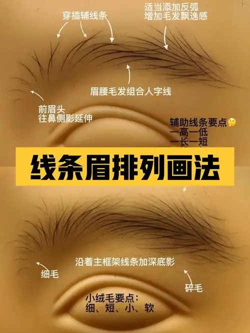 干货极速好学的野生眉详细画法分享