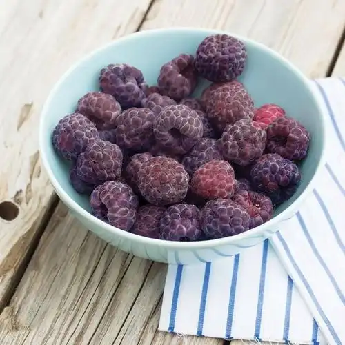 惊艳的紫色树莓glencoe