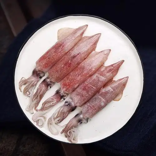 东山岛野生小管鱿鱼水产冷冻铁板鱿鱼烧烤新鲜海兔鱿鱼500g