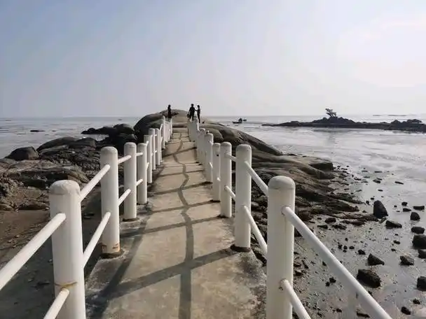 钦州三娘湾的赶海人