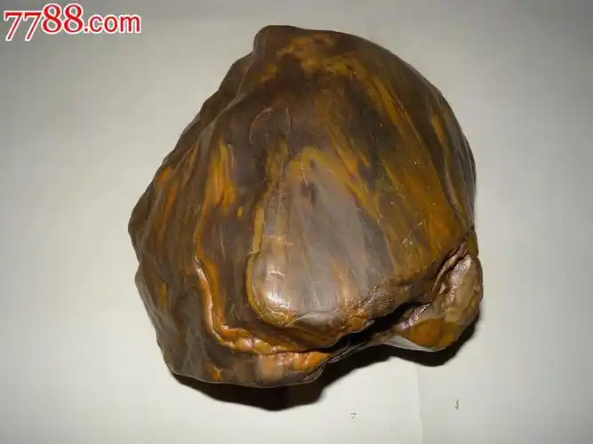 水冲硅化木-硅化木/木化石--se28442075-零售-7788收藏__收藏热线