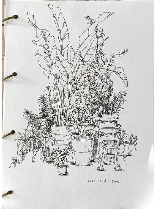 风景速写照片写生