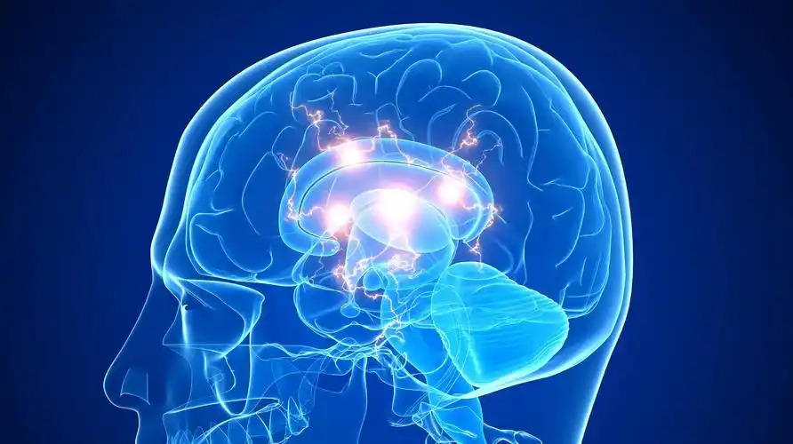 大脑开发了百分之一百的人,会成为神一样的存在吗?-教育视频-搜狐视频