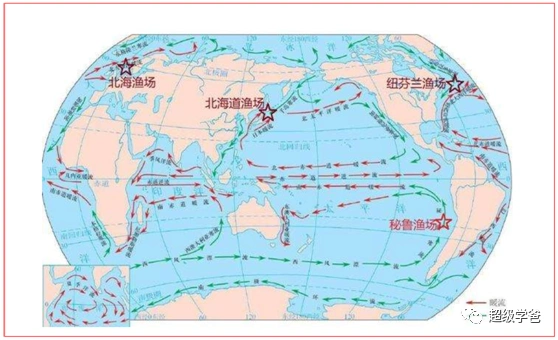 是亚洲最大的农产品批发市场,还承包了一个渔场,号称世界四大渔场之一