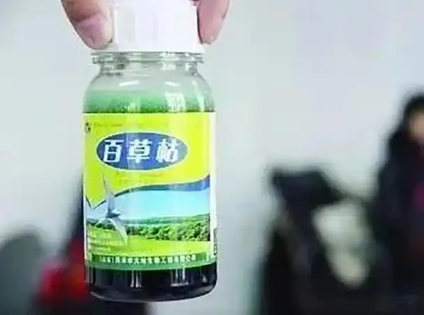 李红达如果喝的是其他农药,或许还有救.