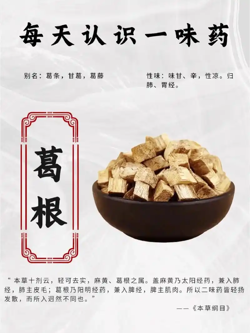 葛根来源于豆科植物野葛的干燥根,习称为野葛.葛根的性味 - 抖音