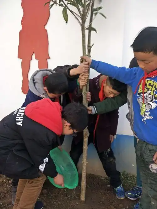 "种一棵小树 ,绿一方净土" ——马坪小学开展植树节活动