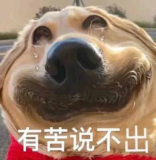 新浪财经_新浪网