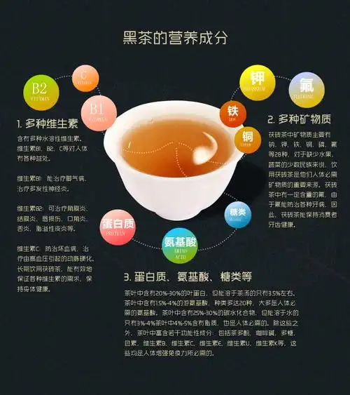 野生高山原叶 安化黑茶 文益牌 老文志作 荒山大叶 茶样包