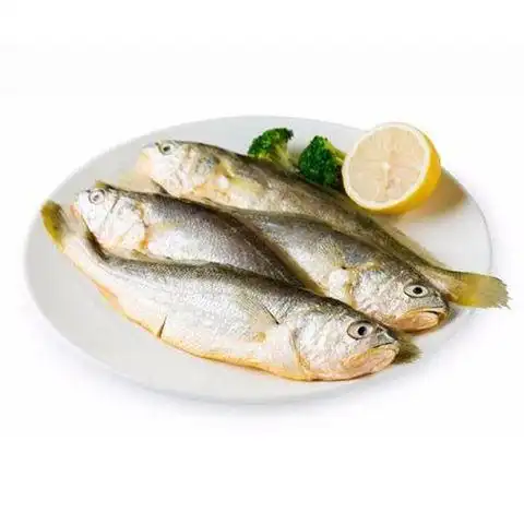 marine fresh seafood fish yellow croaker