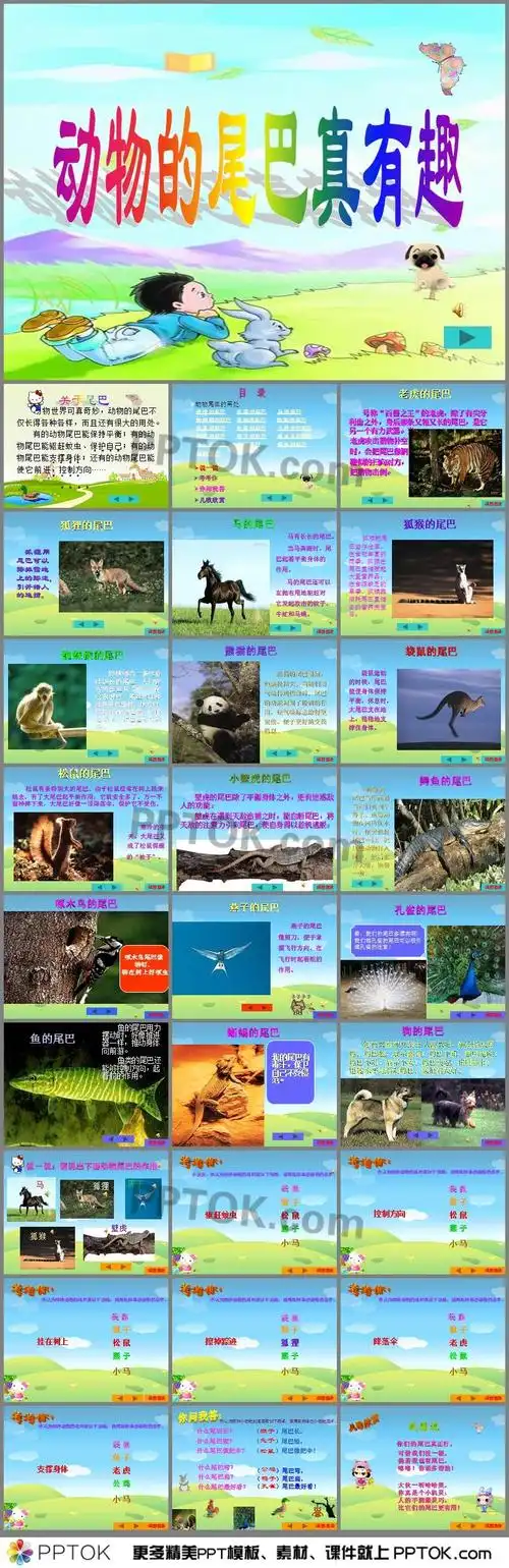 幼儿园动物尾巴的妙用ppt课件