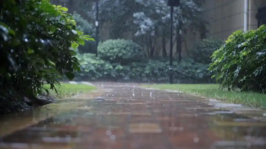 暴雨下雨雨景特写