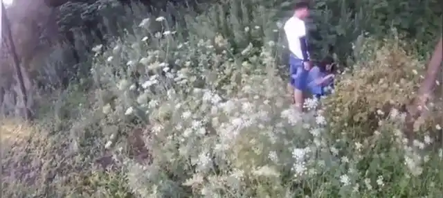 江苏南京:情侣高速上吵架,竟停车蹲在草丛中不肯走