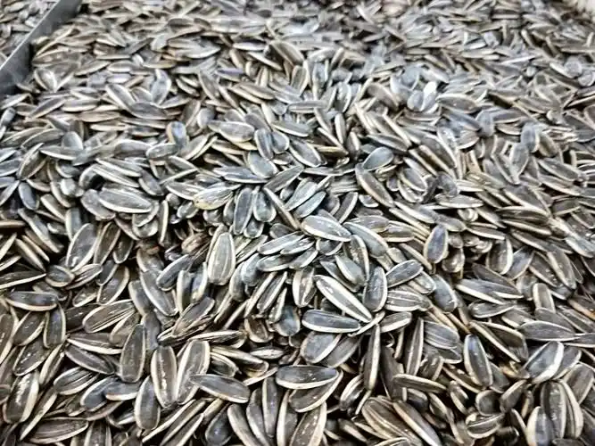 献县信誉楼一楼超市干果组新引进,水果味花生,奶油瓜子,倒蒸味瓜子