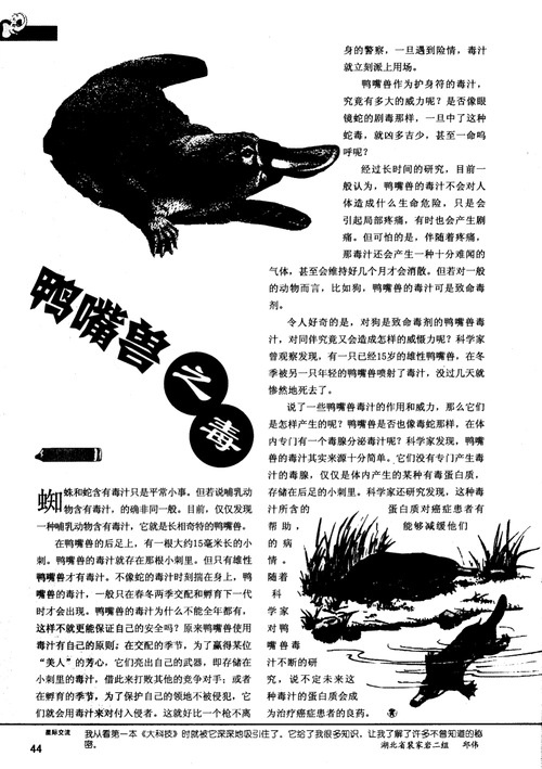 文档下载 所有分类 自然科学 生物学 > 鸭嘴兽之毒令人好奇的是,对狗