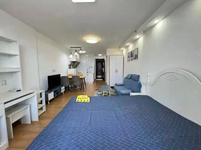 高新区独门独户单身公寓一室一厅中海地铁口随时看房