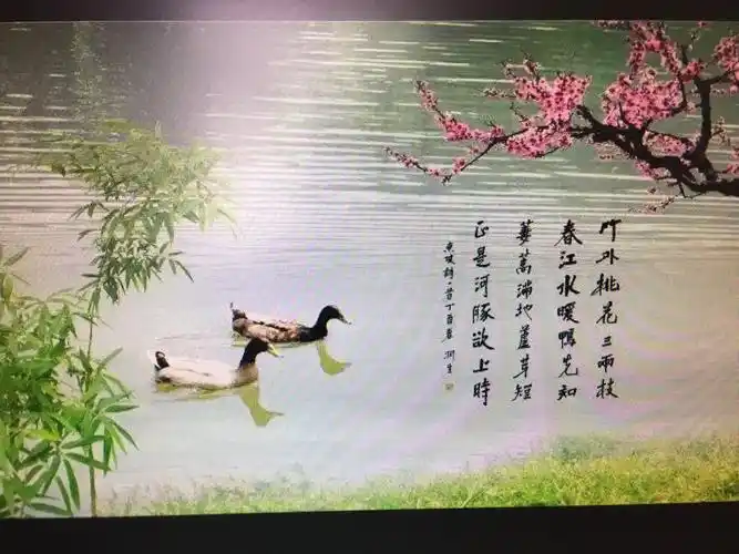 惠崇春江晓景(惠崇春江晓景的诗意)_大全-幸福起航