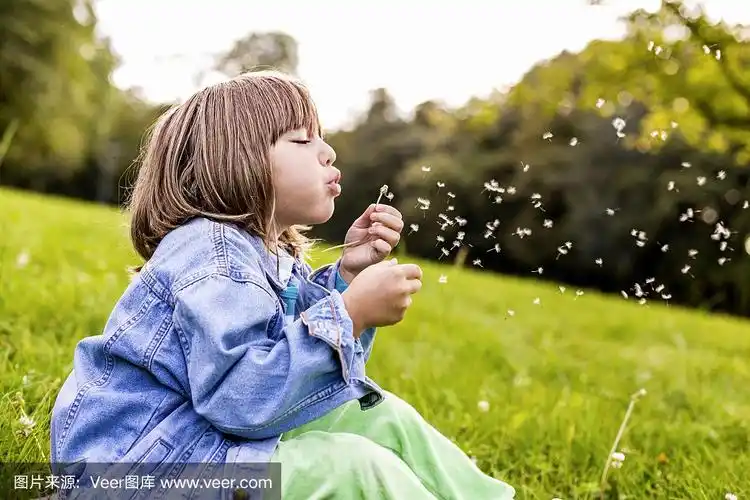 小女孩吹着蒲公英