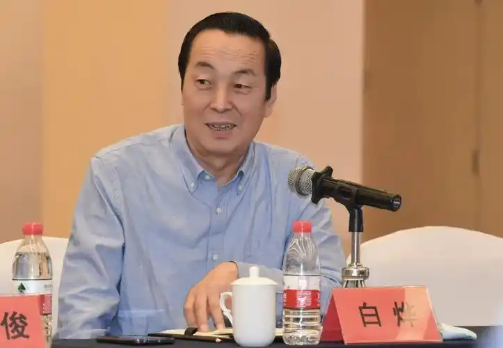 中国当代文学研究会会长,著名评论家白烨