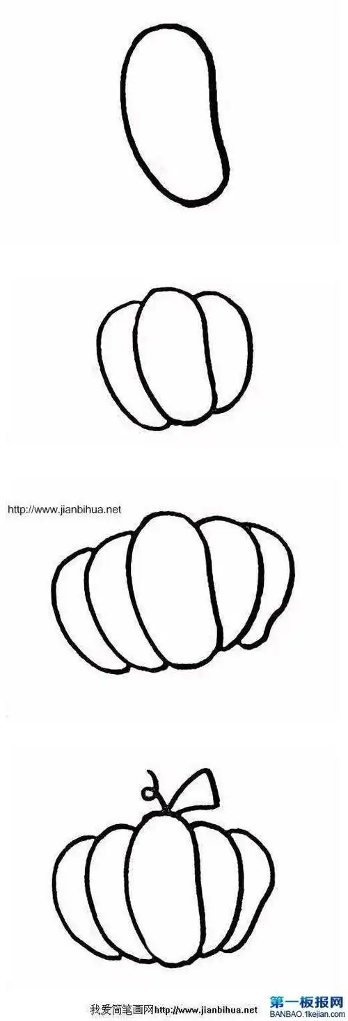 南瓜的生长过程的简笔画画法步骤