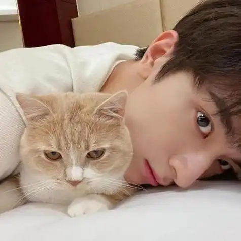 抱猫咪的男头像大全 男生头像图片大全 -【爱个性】