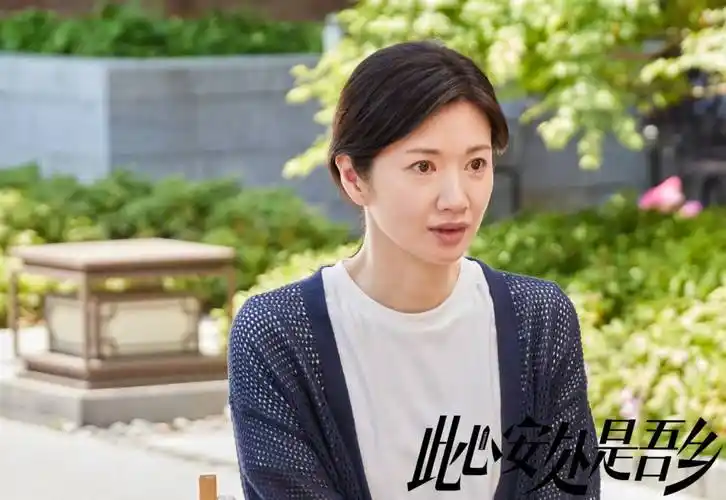 苑冉《此心安处是吾乡》收官 多部剧同期热播斩获好成绩_角色_观众