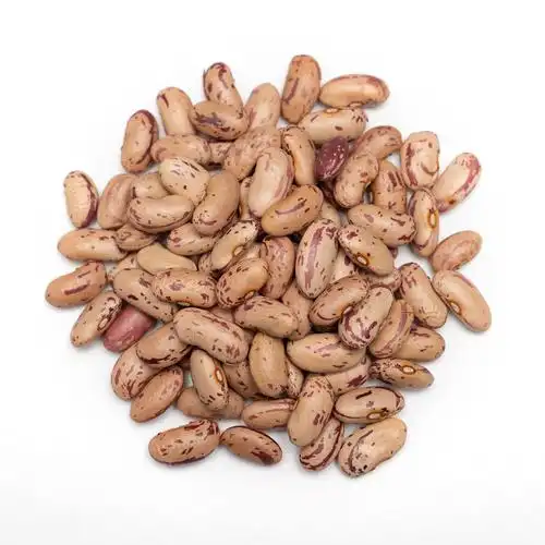 high quality pinto beans/kidney beans for sale at wholesale