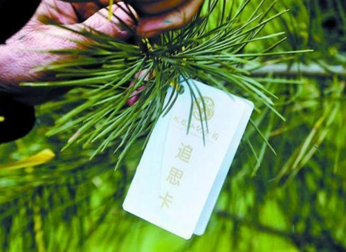 "文明祭祀,平安清明"—流峪镇土门完小五年级清明活动